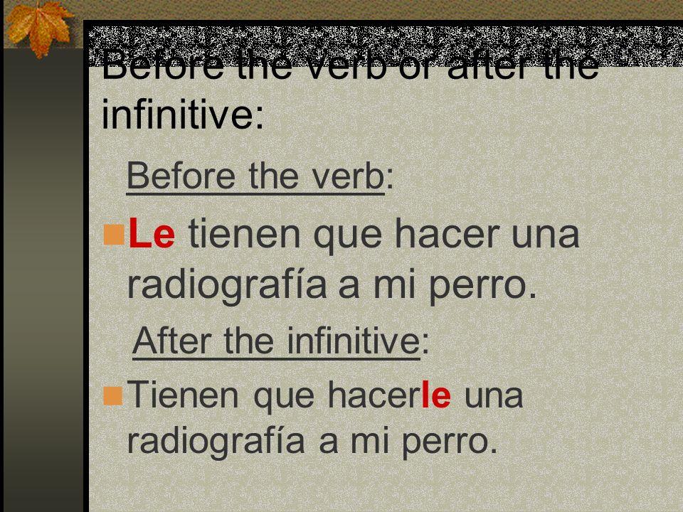 Before the verb or after the infinitive:
