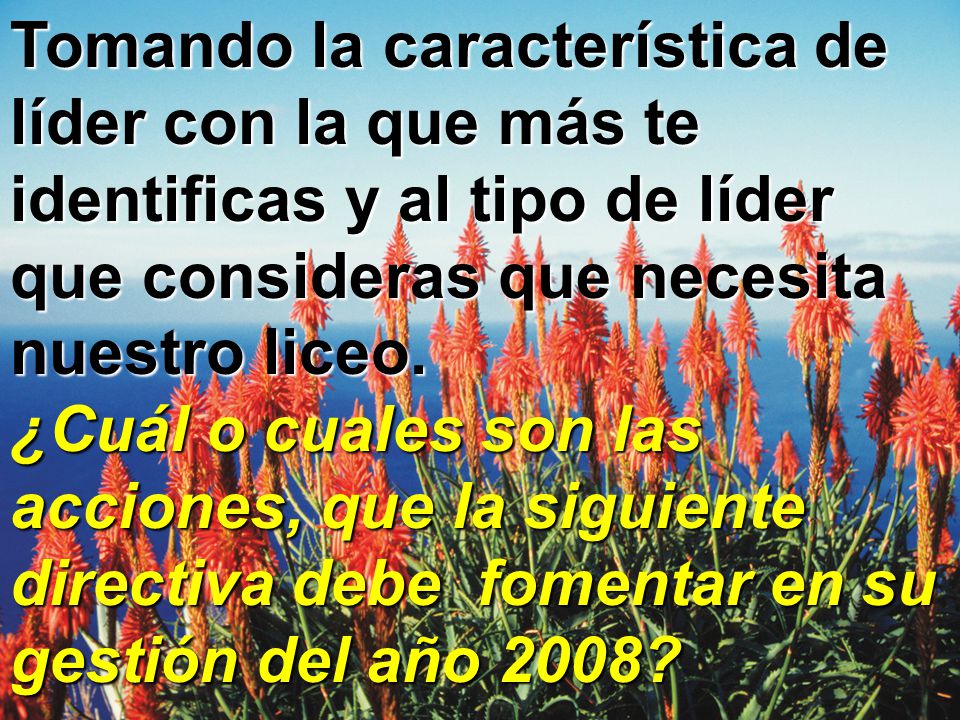 Tomando la característica de líder con la que más te identificas y al tipo de líder que consideras que necesita nuestro liceo.