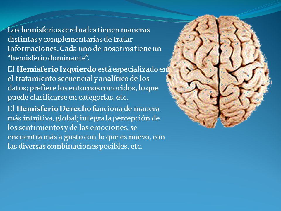 Los hemisferios cerebrales tienen maneras distintas y complementarias de tratar informaciones. Cada uno de nosotros tiene un hemisferio dominante .
