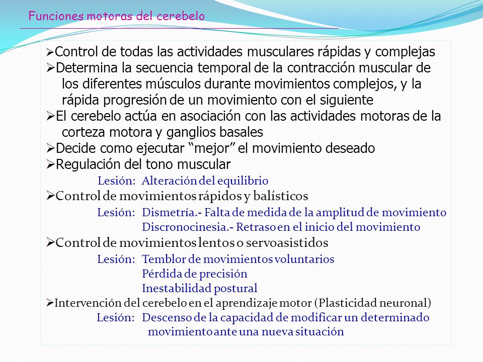 Determina la secuencia temporal de la contracción muscular de