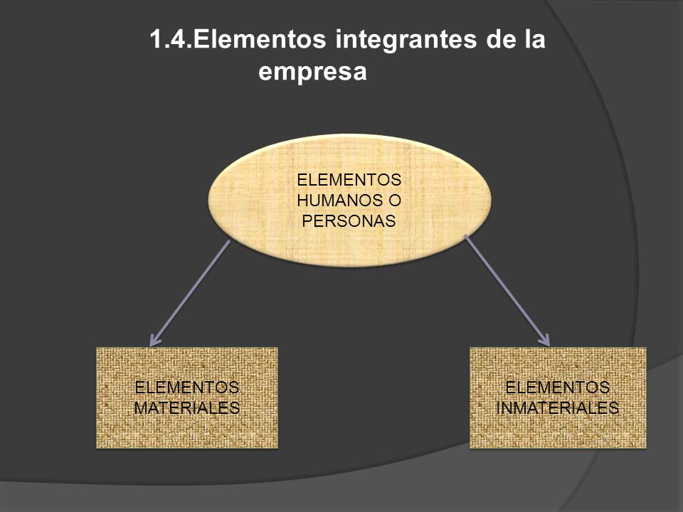 1.4.Elementos integrantes de la empresa