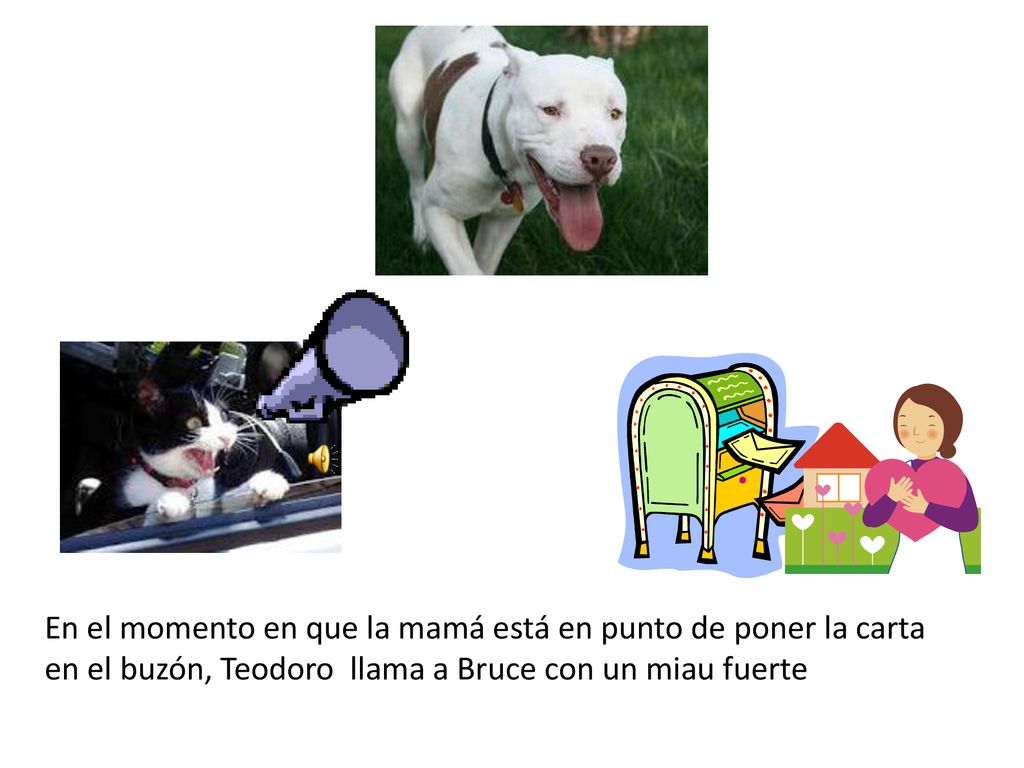 En el momento en que la mamá está en punto de poner la carta en el buzón, Teodoro llama a Bruce con un miau fuerte