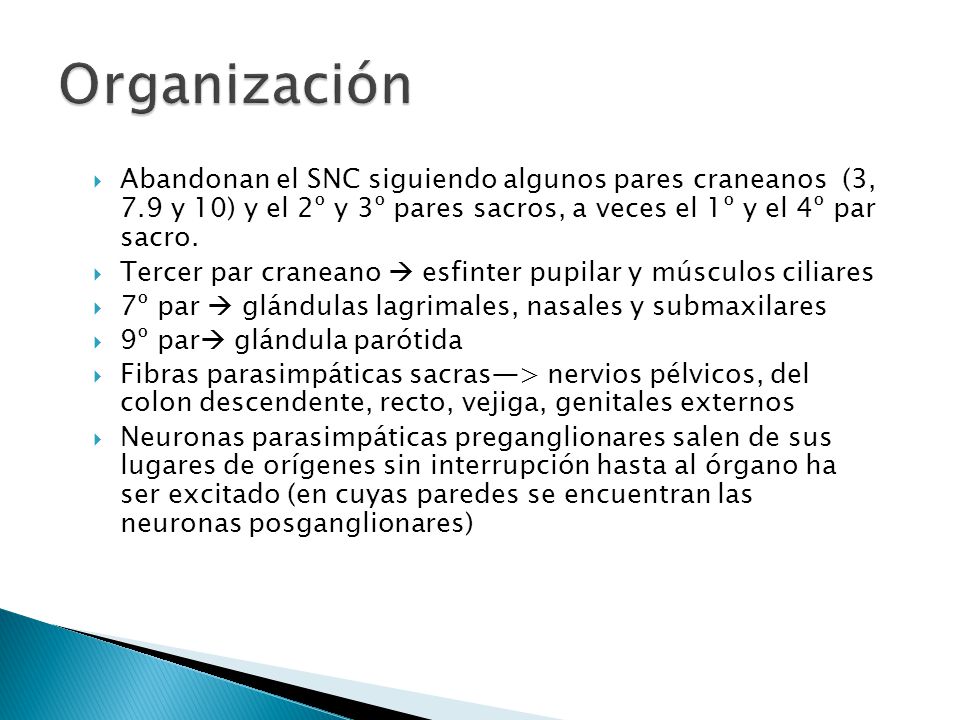 Organización Abandonan el SNC siguiendo algunos pares craneanos (3, 7.9 y 10) y el 2º y 3º pares sacros, a veces el 1º y el 4º par sacro.