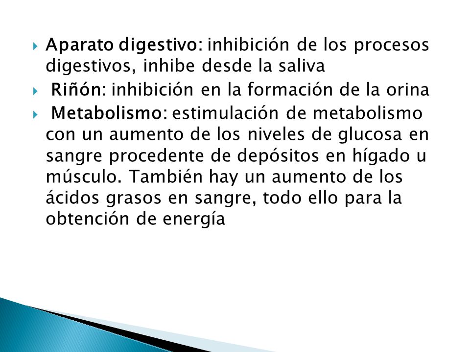 Aparato digestivo: inhibición de los procesos digestivos, inhibe desde la saliva