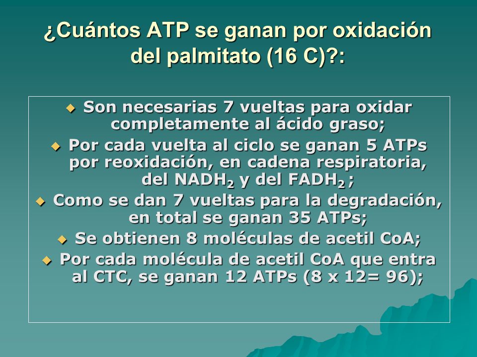 ¿Cuántos ATP se ganan por oxidación del palmitato (16 C) :