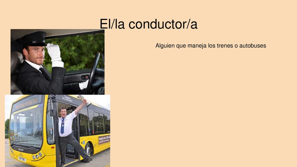 El/la conductor/a Alguien que maneja los trenes o autobuses