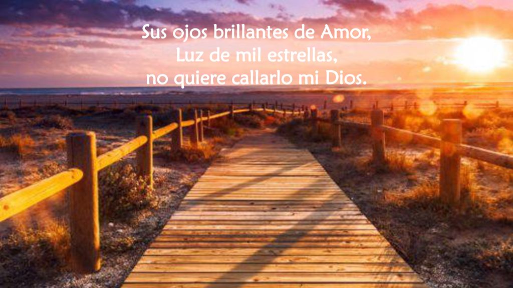 Sus ojos brillantes de Amor, Luz de mil estrellas,