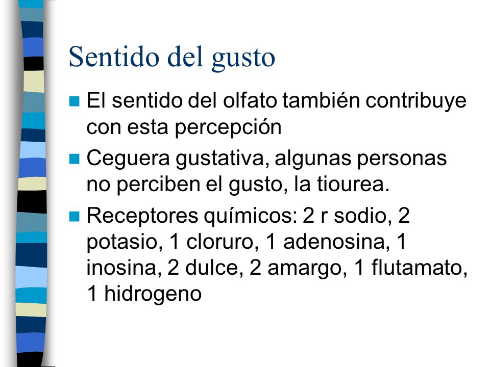 Sentido del gusto El sentido del olfato también contribuye con esta percepción.