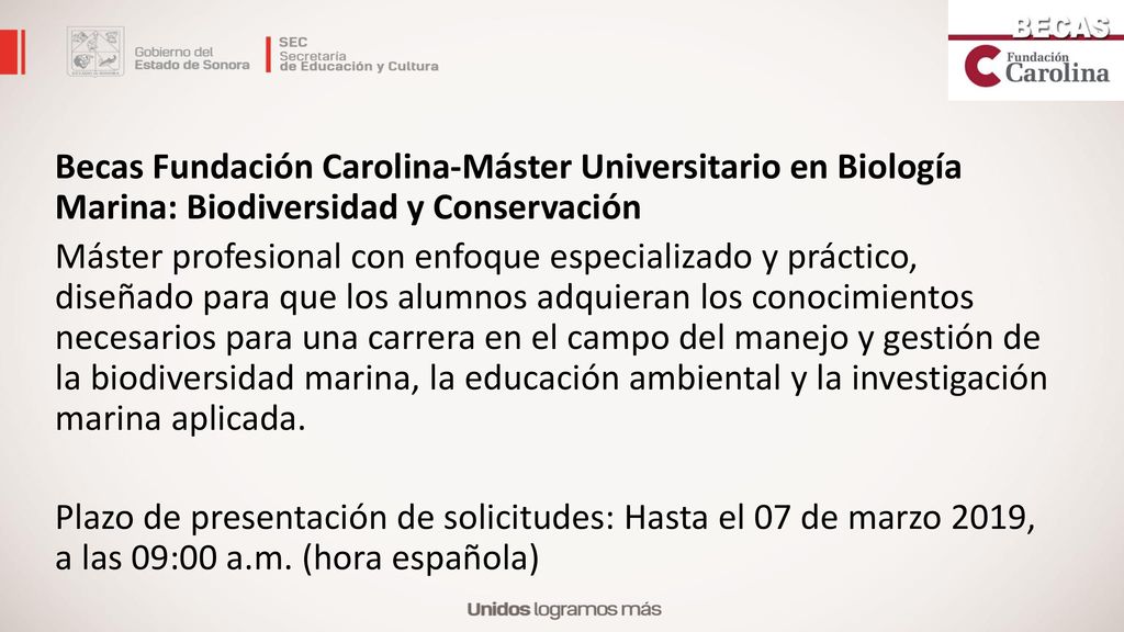 Becas Fundación Carolina-Máster Universitario en Biología Marina: Biodiversidad y Conservación Máster profesional con enfoque especializado y práctico, diseñado para que los alumnos adquieran los conocimientos necesarios para una carrera en el campo del manejo y gestión de la biodiversidad marina, la educación ambiental y la investigación marina aplicada.