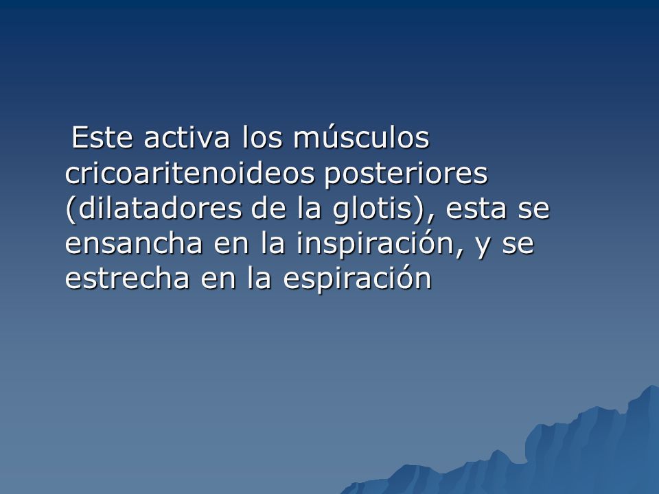 Este activa los músculos cricoaritenoideos posteriores (dilatadores de la glotis), esta se ensancha en la inspiración, y se estrecha en la espiración