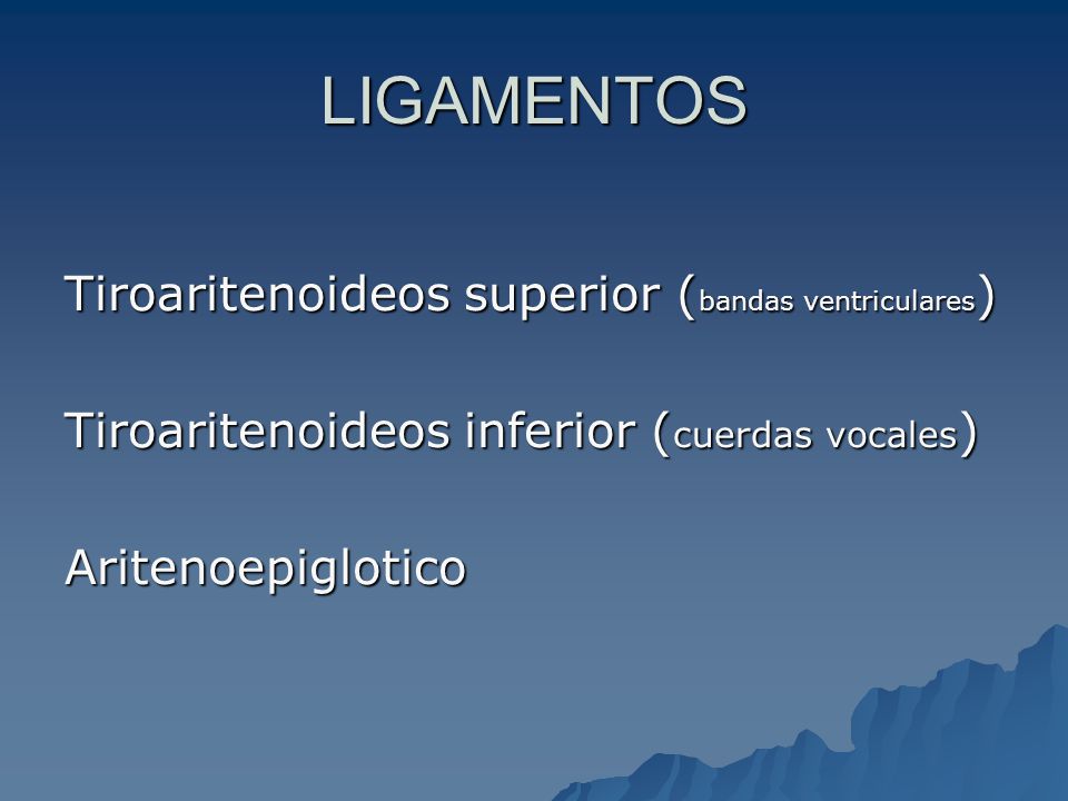 LIGAMENTOS Tiroaritenoideos superior (bandas ventriculares)