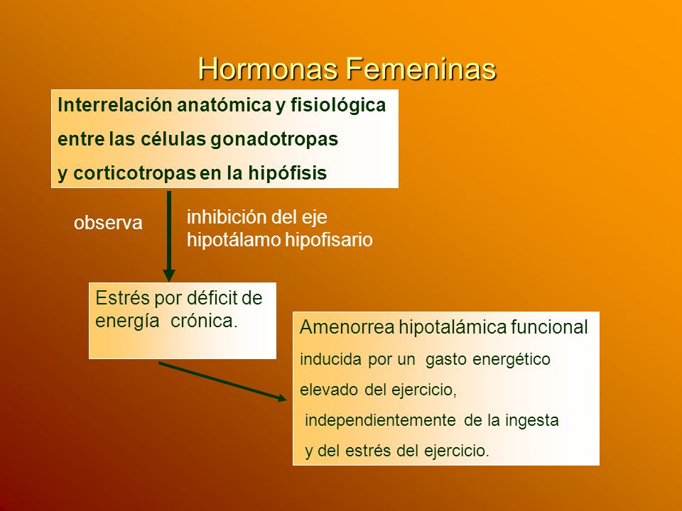 Hormonas Femeninas Interrelación anatómica y fisiológica