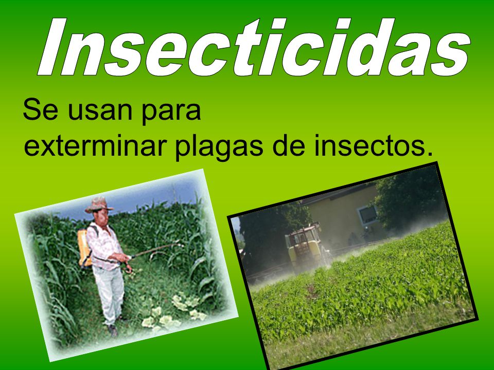Insecticidas Se usan para exterminar plagas de insectos.