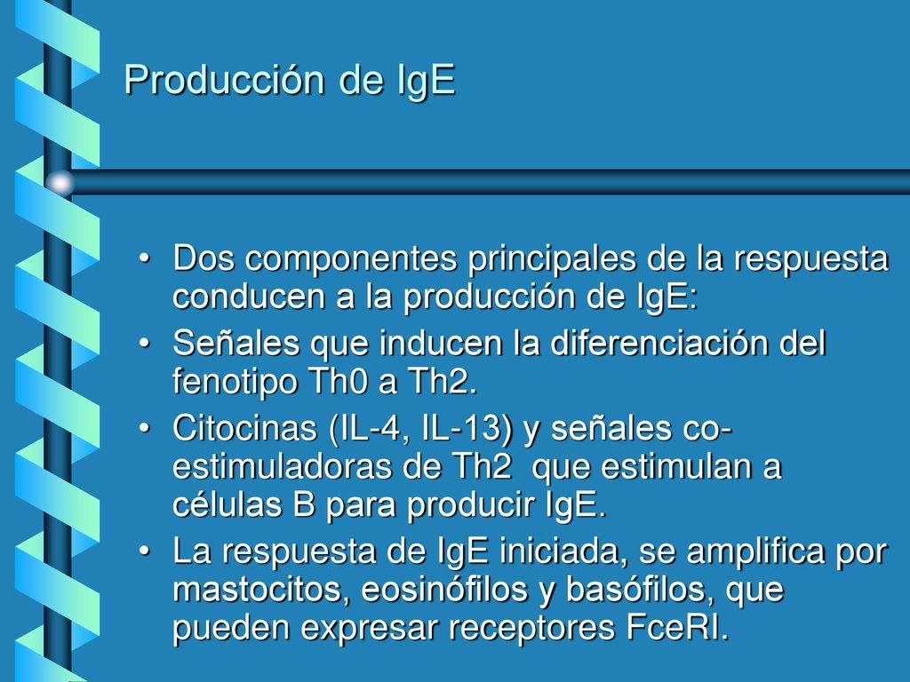 Producción de IgE Dos componentes principales de la respuesta conducen a la producción de IgE: