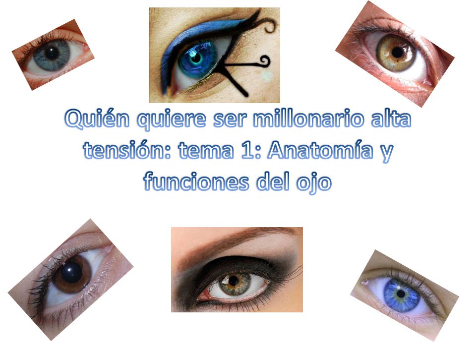 Quién quiere ser millonario alta tensión: tema 1: Anatomía y funciones del ojo