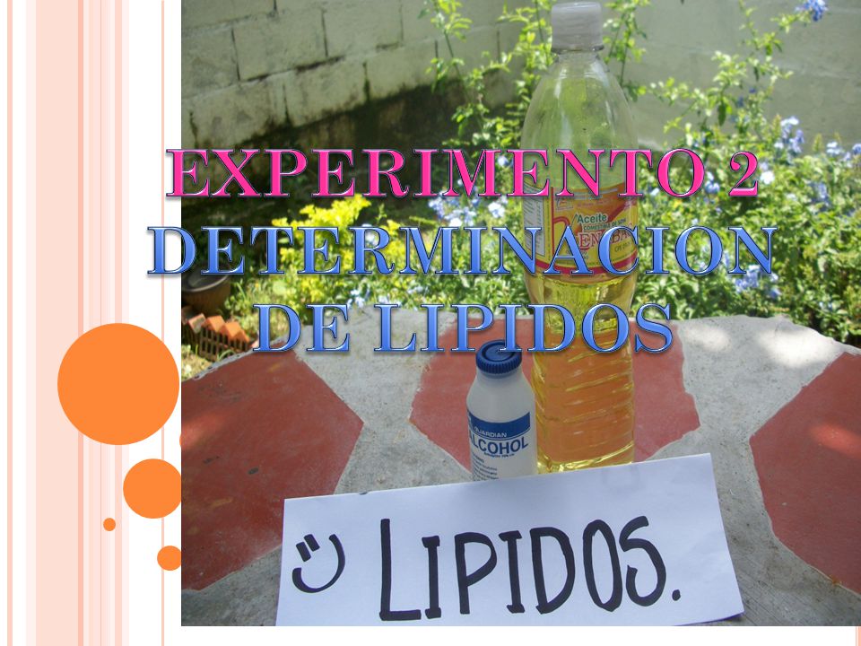 EXPERIMENTO 2 DETERMINACION DE LIPIDOS