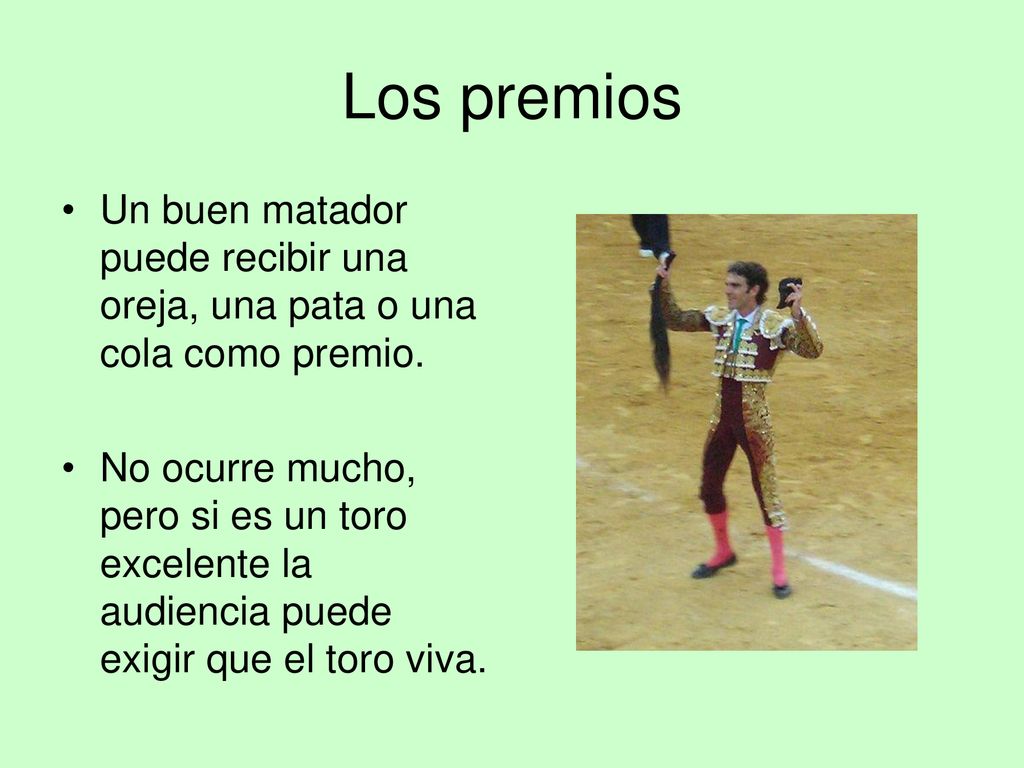 Los premios Un buen matador puede recibir una oreja, una pata o una cola como premio.