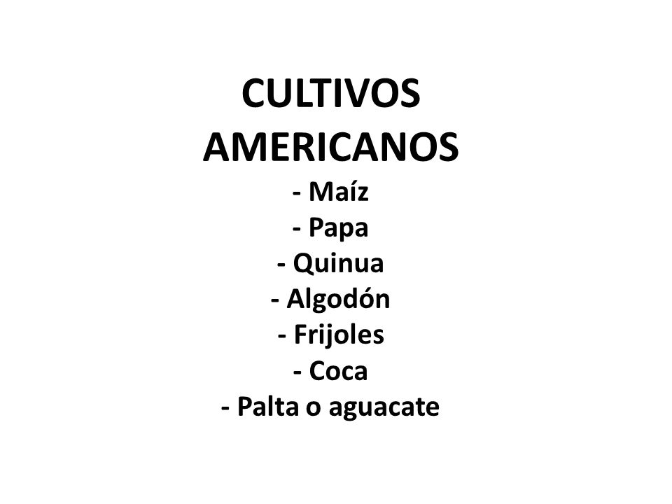 CULTIVOS AMERICANOS - Maíz - Papa - Quinua - Algodón - Frijoles - Coca