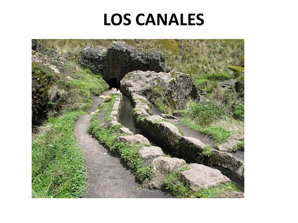 LOS CANALES