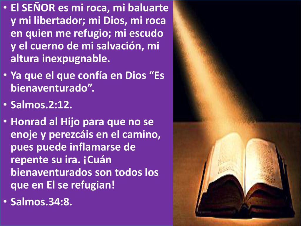 El SEÑOR es mi roca, mi baluarte y mi libertador; mi Dios, mi roca en quien me refugio; mi escudo y el cuerno de mi salvación, mi altura inexpugnable.