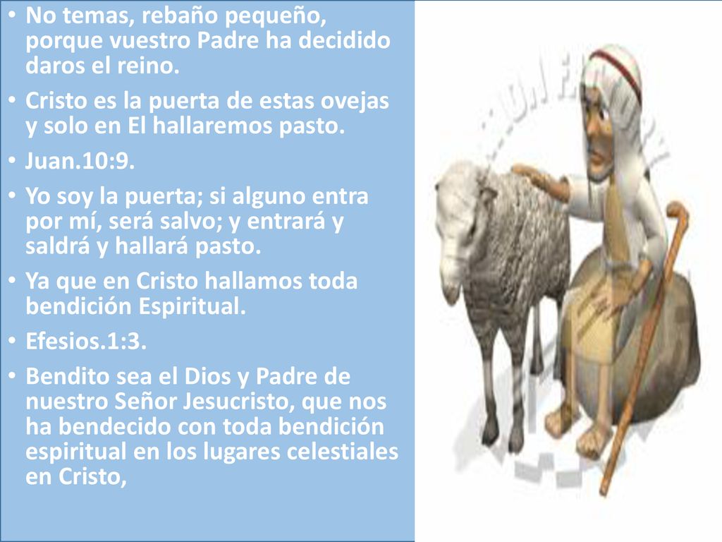 No temas, rebaño pequeño, porque vuestro Padre ha decidido daros el reino.