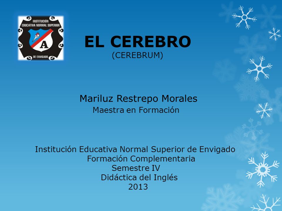 EL CEREBRO Mariluz Restrepo Morales Maestra en Formación (CEREBRUM)