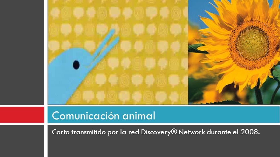 Comunicación animal Corto transmitido por la red Discovery® Network durante el