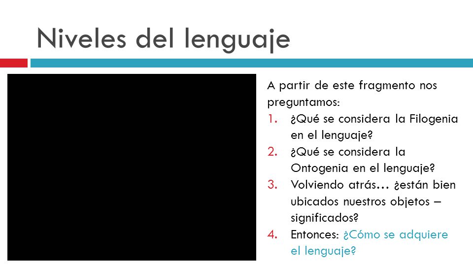 Niveles del lenguaje A partir de este fragmento nos preguntamos: