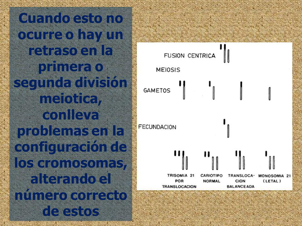 Cuando esto no ocurre o hay un retraso en la primera o segunda división meiotica, conlleva problemas en la configuración de los cromosomas, alterando el número correcto de estos