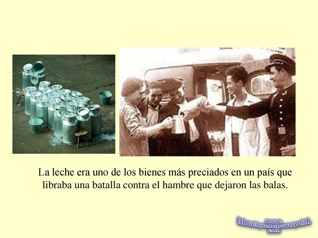La leche era uno de los bienes más preciados en un país que libraba una batalla contra el hambre que dejaron las balas.
