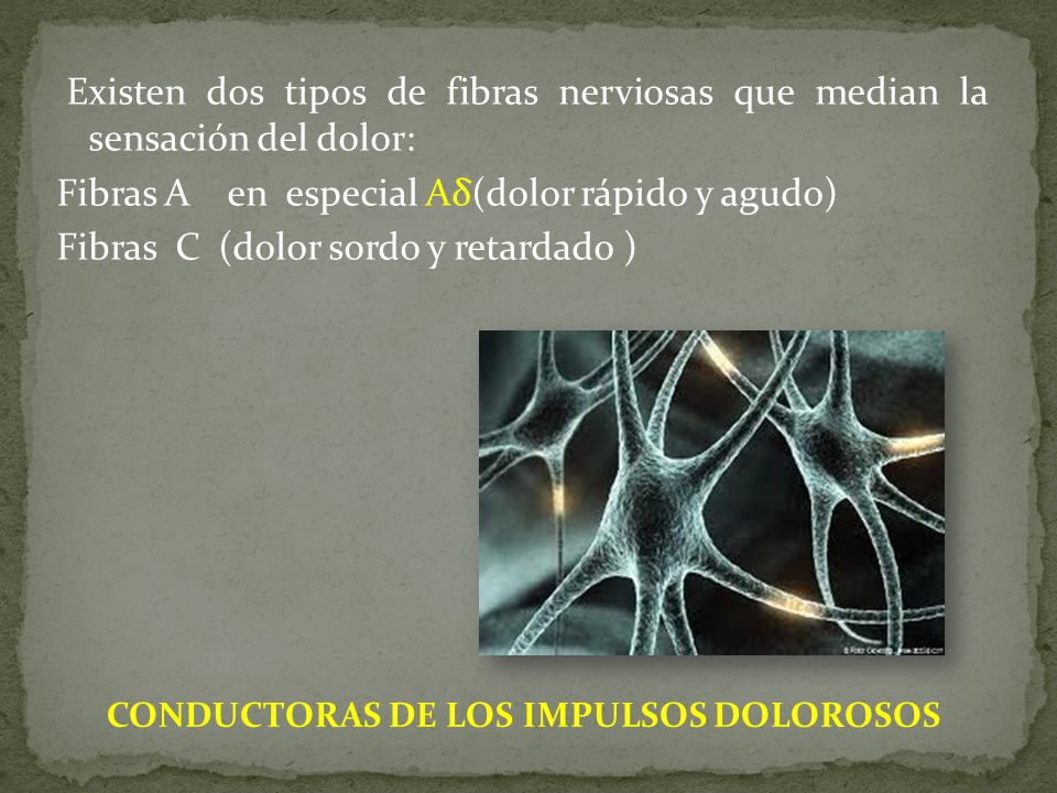 Existen dos tipos de fibras nerviosas que median la sensación del dolor: Fibras A en especial Aδ(dolor rápido y agudo) Fibras C (dolor sordo y retardado )