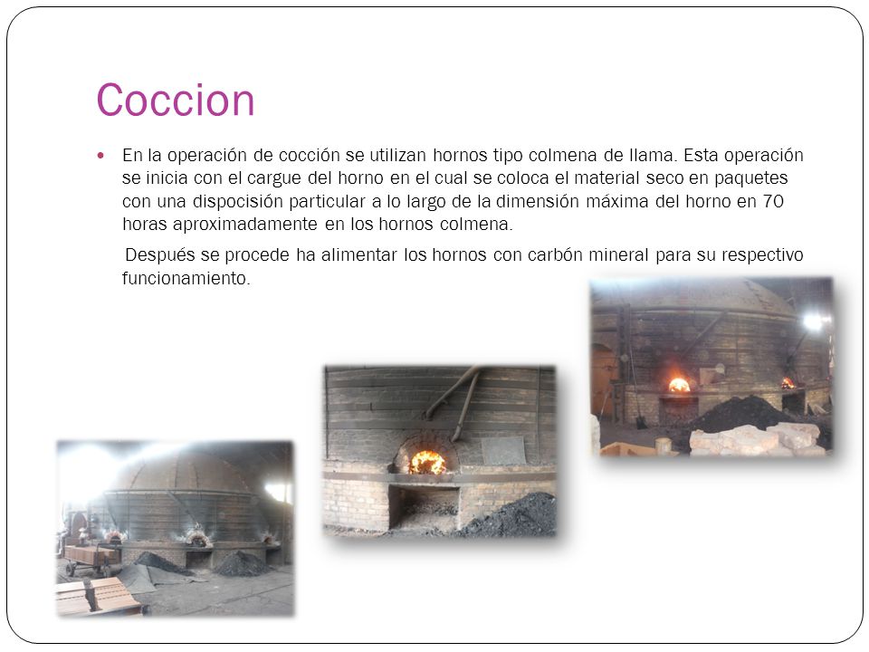 Coccion
