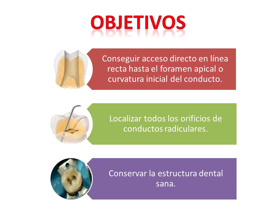 objetivos Conseguir acceso directo en línea recta hasta el foramen apical o curvatura inicial del conducto.