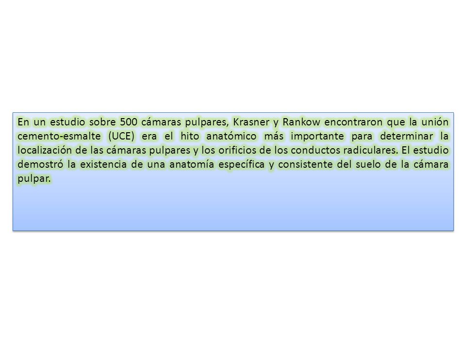 En un estudio sobre 500 cámaras pulpares, Krasner y Rankow encontraron que la unión cemento-esmalte (UCE) era el hito anatómico más importante para determinar la localización de las cámaras pulpares y los orificios de los conductos radiculares.