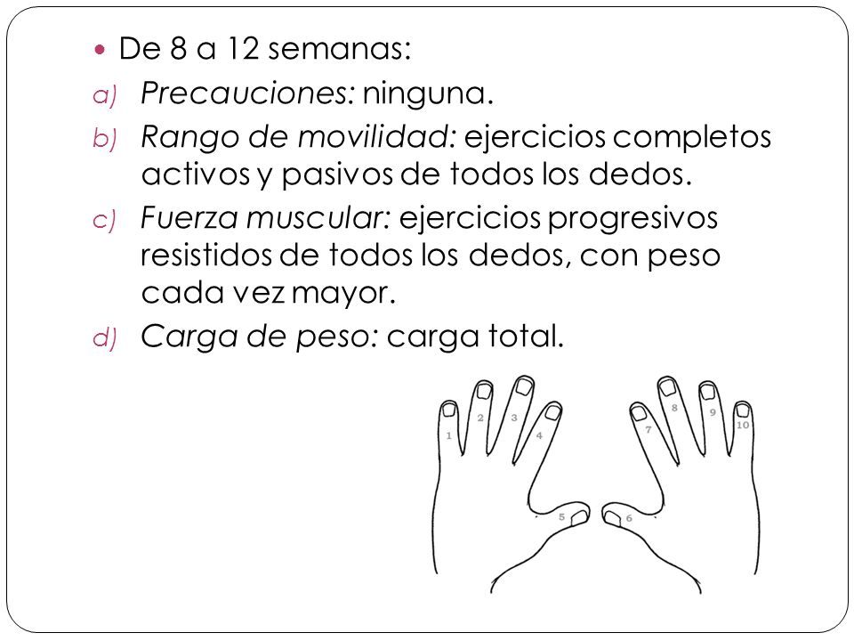 De 8 a 12 semanas: Precauciones: ninguna. Rango de movilidad: ejercicios completos activos y pasivos de todos los dedos.