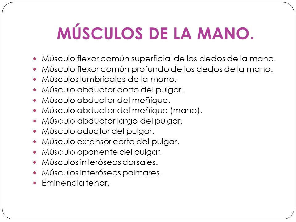 MÚSCULOS DE LA MANO. Músculo flexor común superficial de los dedos de la mano. Músculo flexor común profundo de los dedos de la mano.