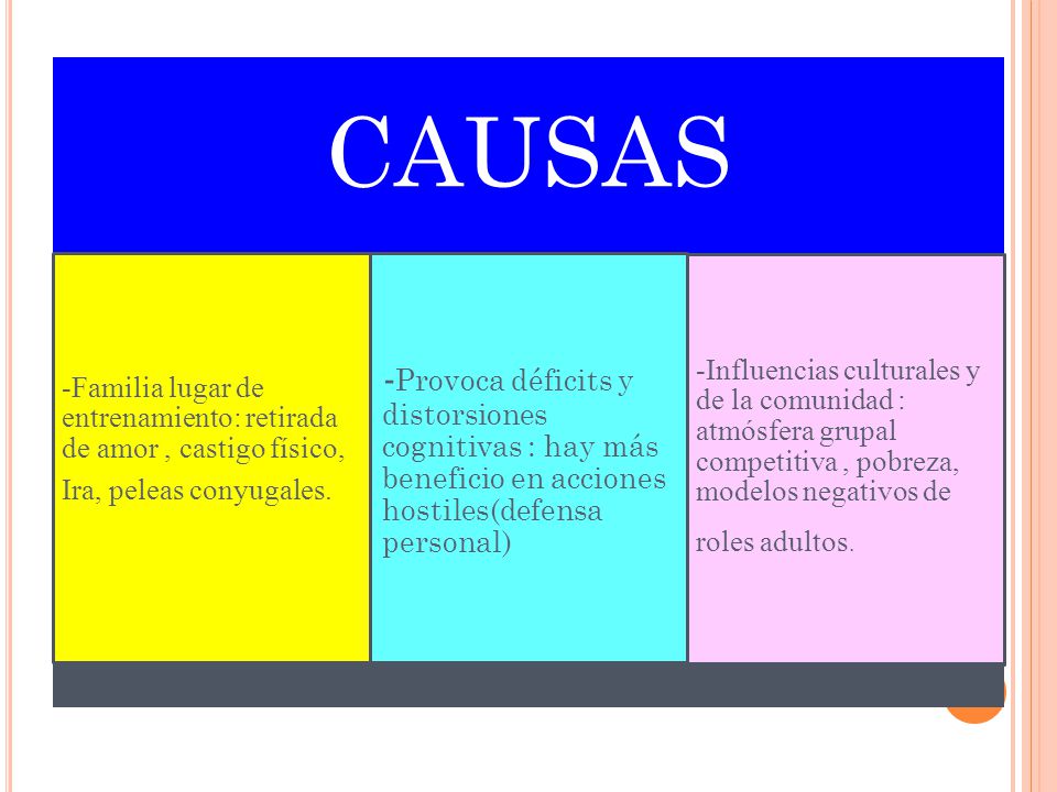 CAUSAS -Familia lugar de entrenamiento: retirada de amor , castigo físico, Ira, peleas conyugales.