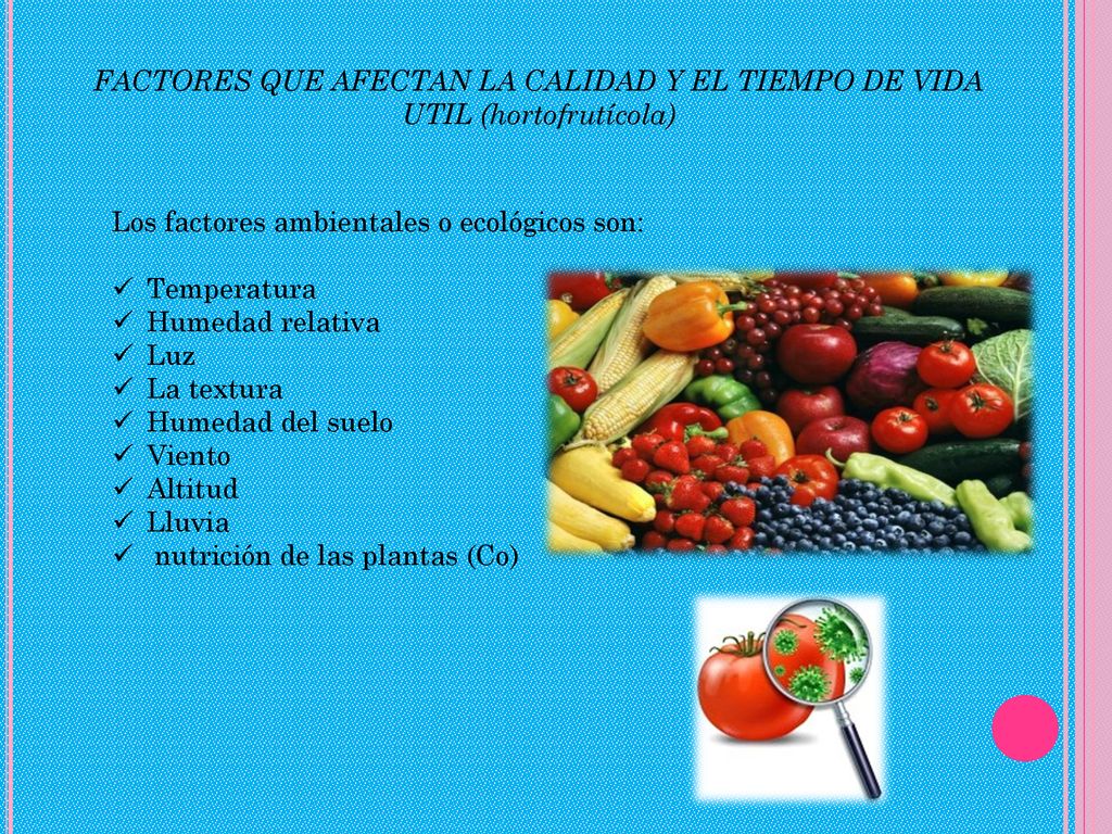 FACTORES QUE AFECTAN LA CALIDAD Y EL TIEMPO DE VIDA UTIL (hortofrutícola)
