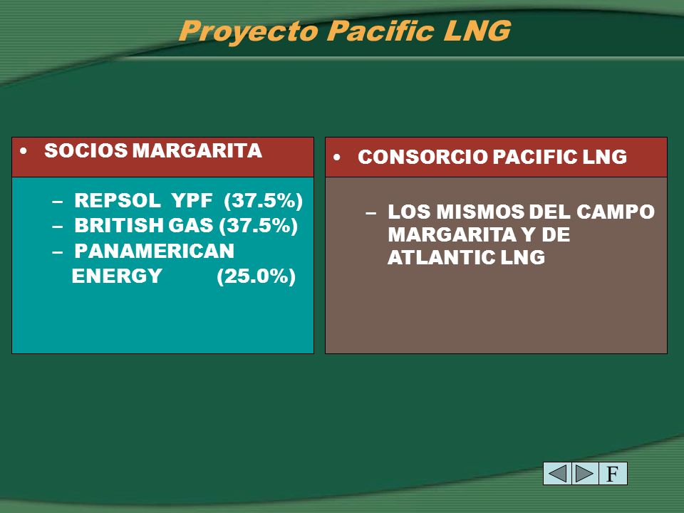 Proyecto Pacific LNG F SOCIOS MARGARITA CONSORCIO PACIFIC LNG