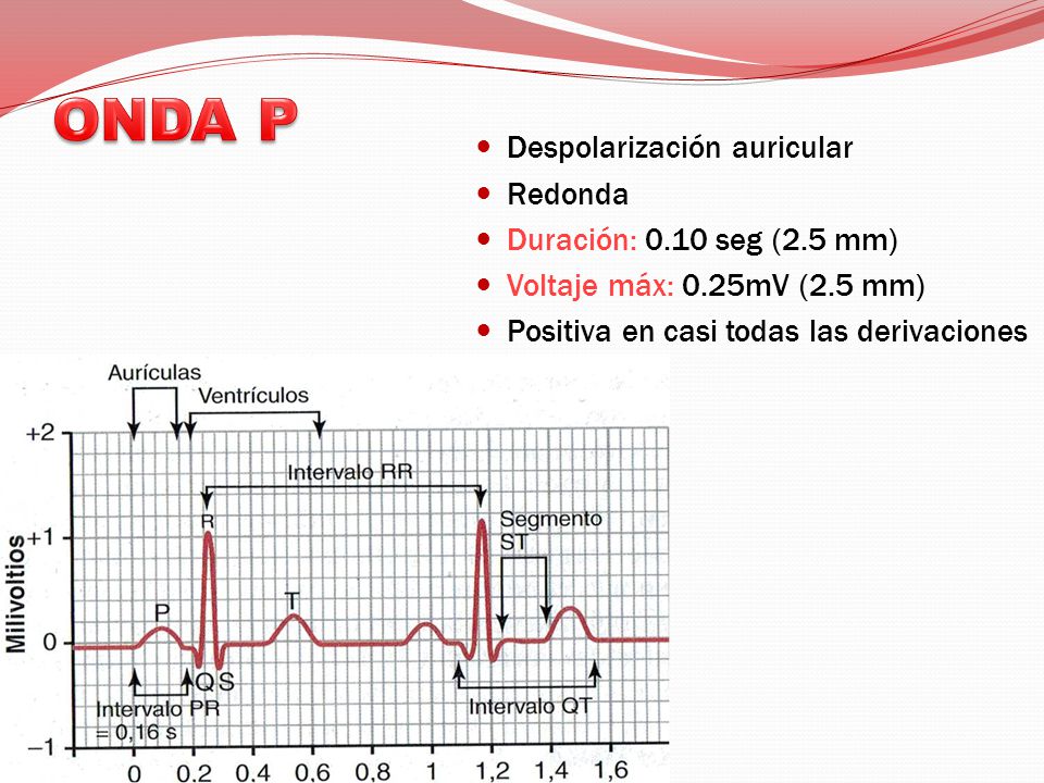 ONDA P Despolarización auricular Redonda Duración: 0.10 seg (2.5 mm)