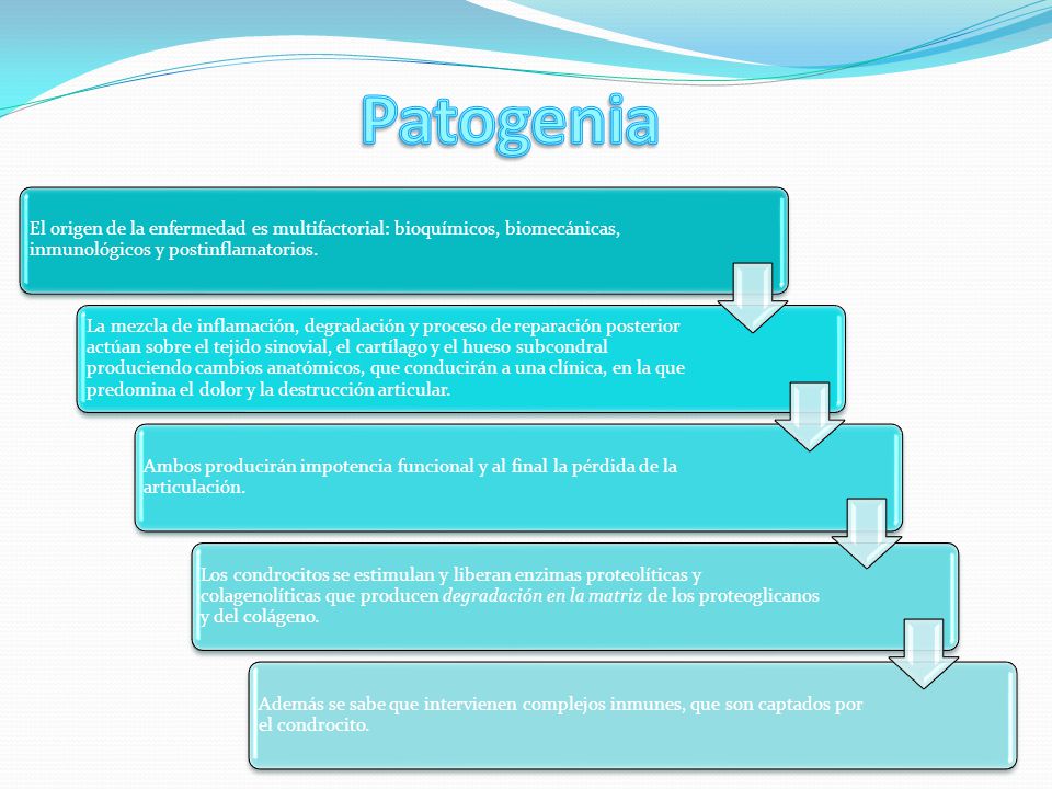 Patogenia El origen de la enfermedad es multifactorial: bioquímicos, biomecánicas, inmunológicos y postinflamatorios.