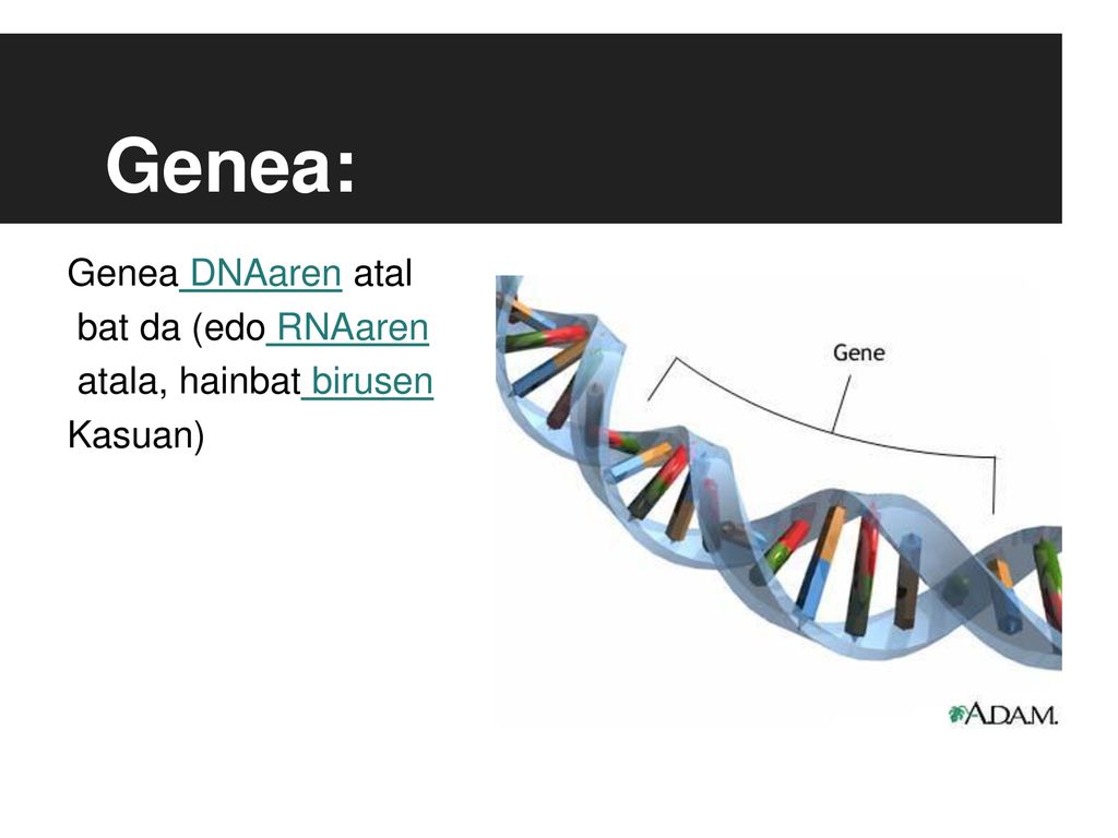 Genea: Genea DNAaren atal bat da (edo RNAaren atala, hainbat birusen