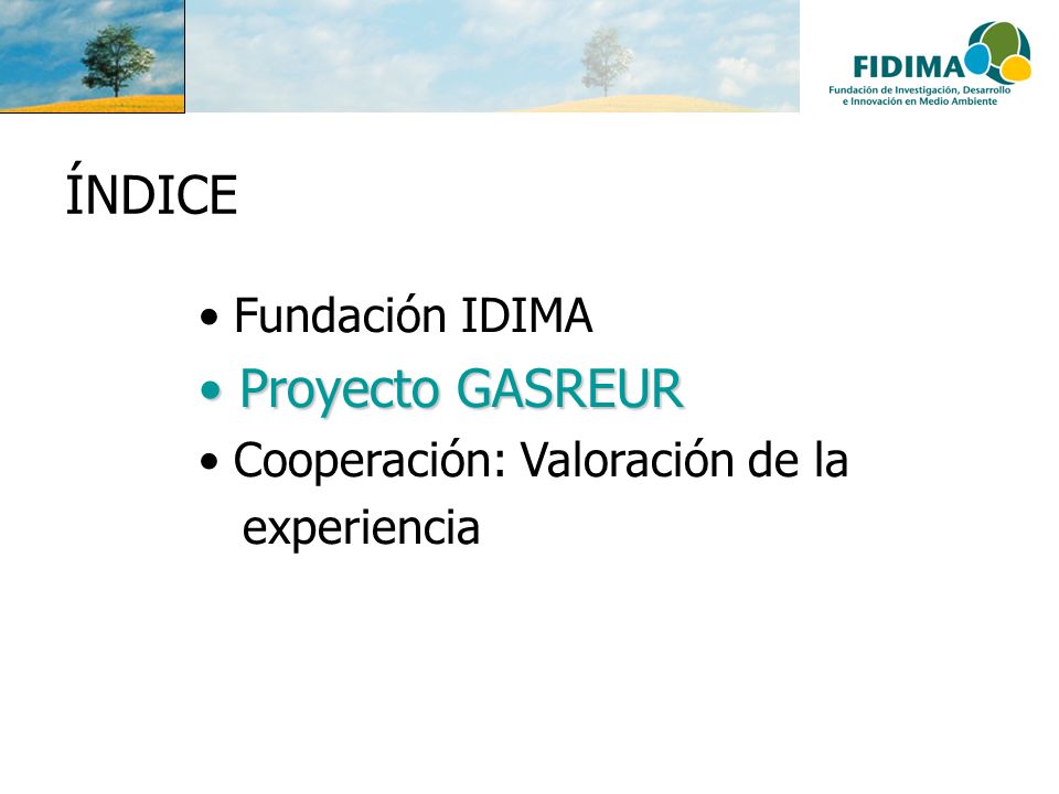ÍNDICE Proyecto GASREUR Fundación IDIMA Cooperación: Valoración de la