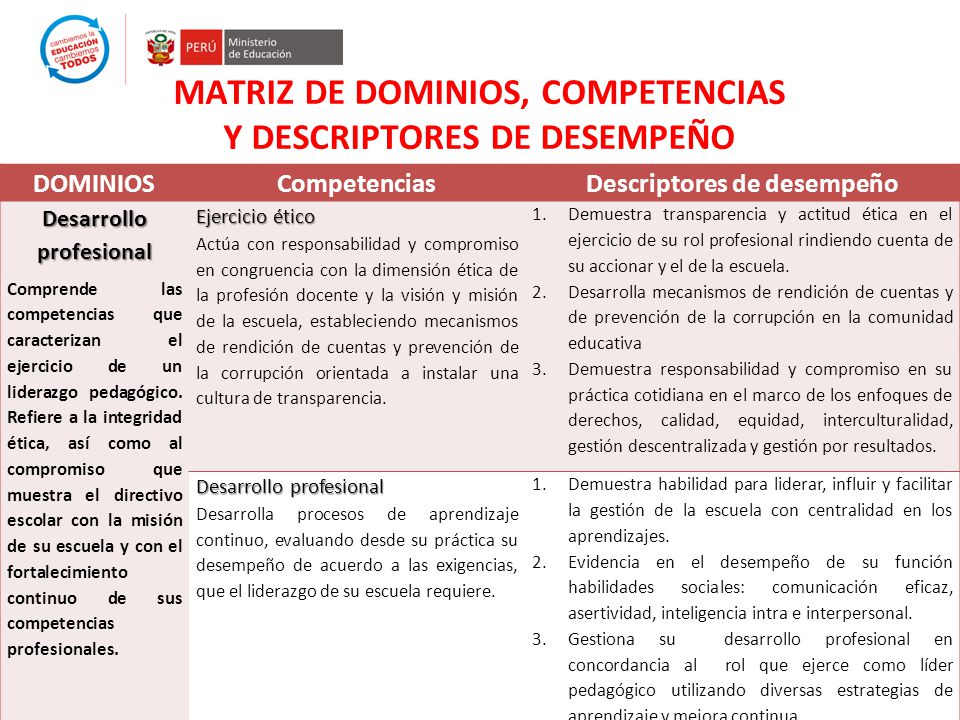 MATRIZ DE DOMINIOS, COMPETENCIAS Y DESCRIPTORES DE DESEMPEÑO