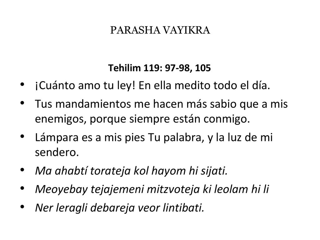 ¡Cuánto amo tu ley! En ella medito todo el día.