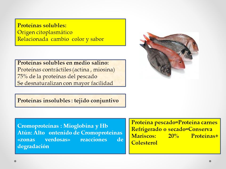 Proteínas solubles: Origen citoplasmático. Relacionada cambio color y sabor. Proteínas solubles en medio salino: