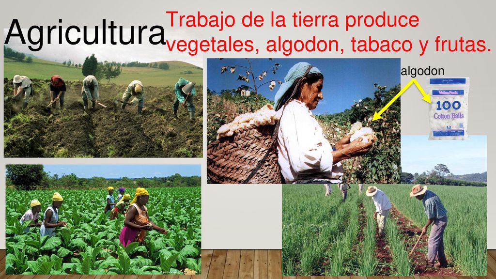 Trabajo de la tierra produce vegetales, algodon, tabaco y frutas.