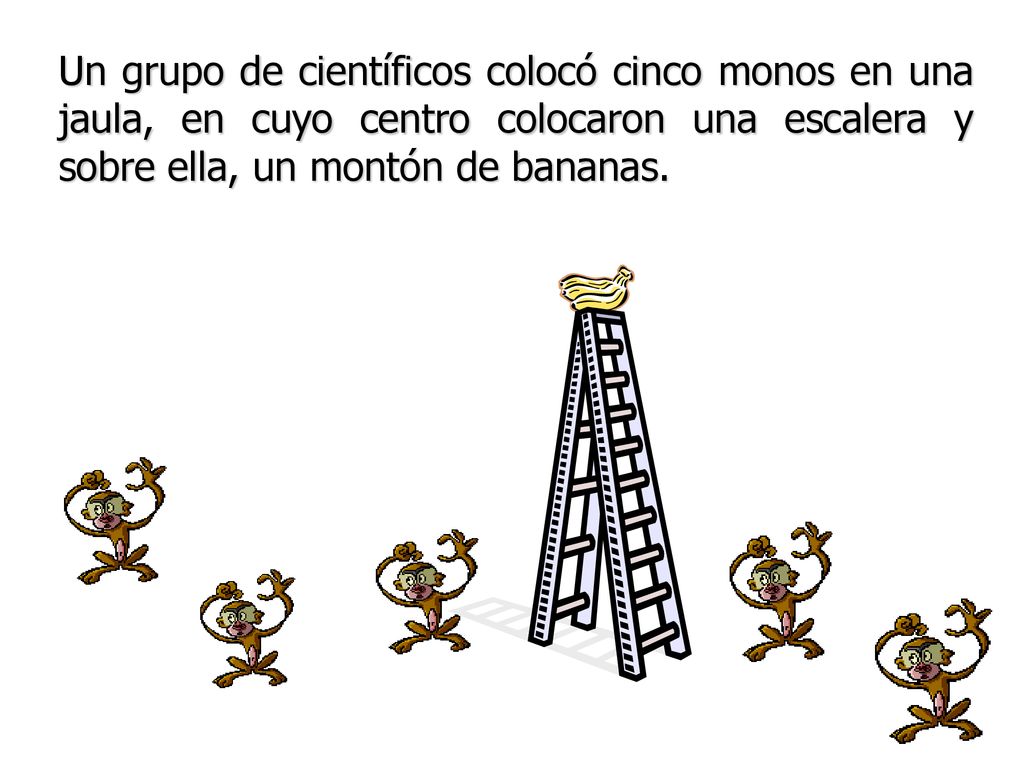 Un grupo de científicos colocó cinco monos en una jaula, en cuyo centro colocaron una escalera y sobre ella, un montón de bananas.