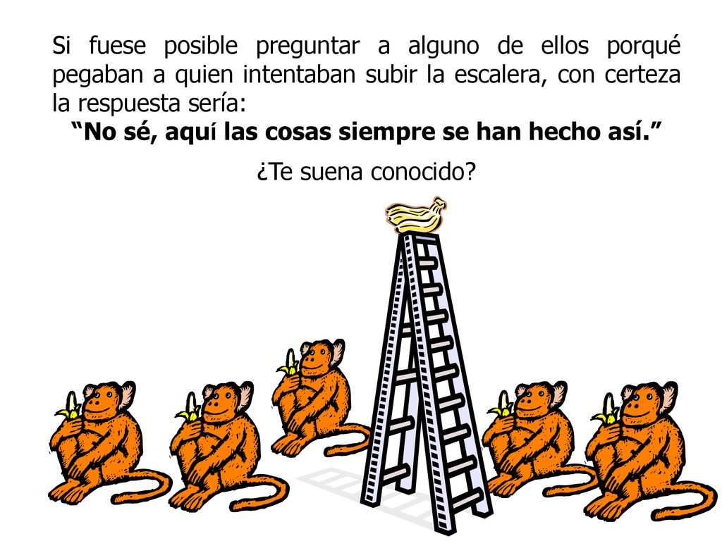 No sé, aquí las cosas siempre se han hecho así.