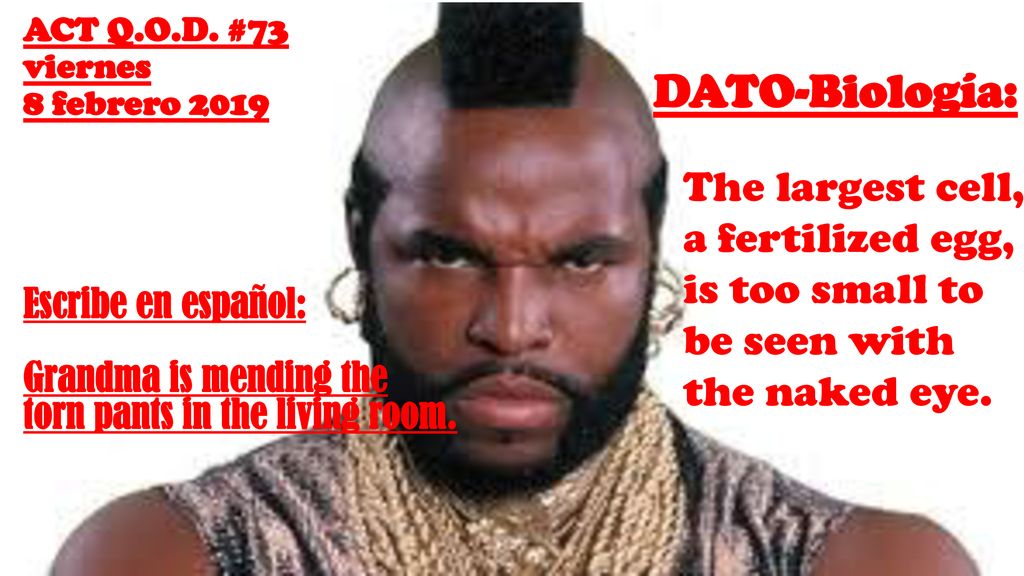 ACT Q.O.D. #73 viernes 8 febrero DATO-Biología: The largest cell, a fertilized egg, is too small to be seen with the naked eye.